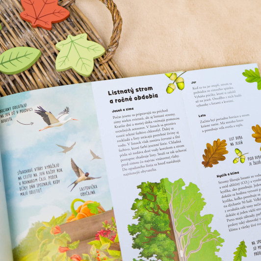 Čo šuchoce v lístí?