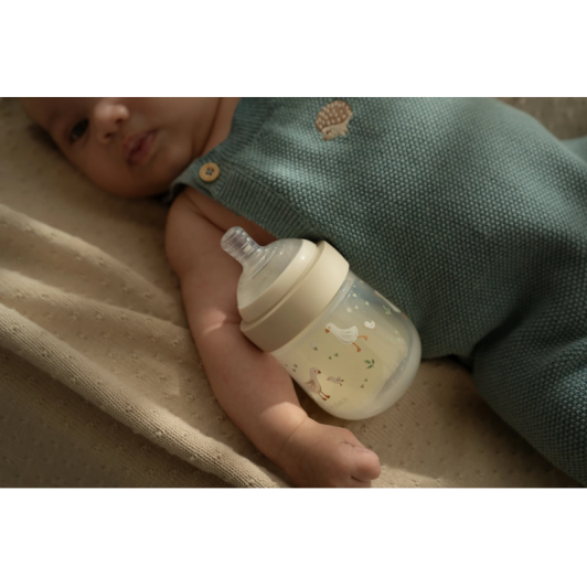Dojčenské fľaše 165 ml + 240 ml + 2 cumlíky Husa