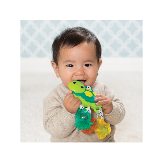 Hrkálka morská korytnačka