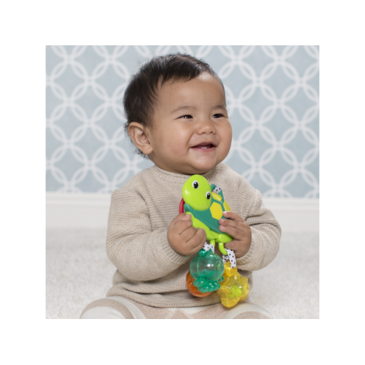 Hrkálka morská korytnačka