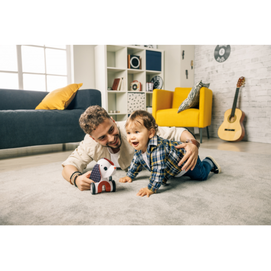 Psík jazdiaci Charlie Tiny Rockers