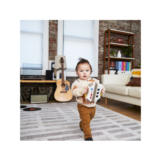 Hudobný akordeón Tiny Rockers