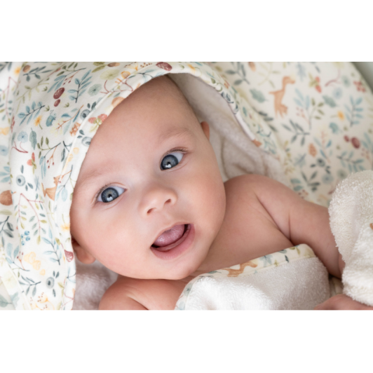 Plachta napínacia 40x80 cm Forest Adventure