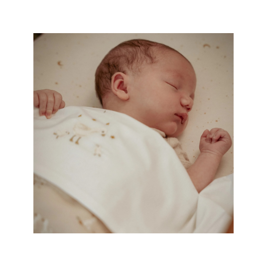 Deka 70x100 cm Husa Newborn Naturals